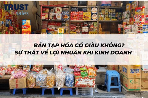 Bán tạp hóa có giàu không? Sự thật về lợi nhuận khi kinh doanh tạp hóa