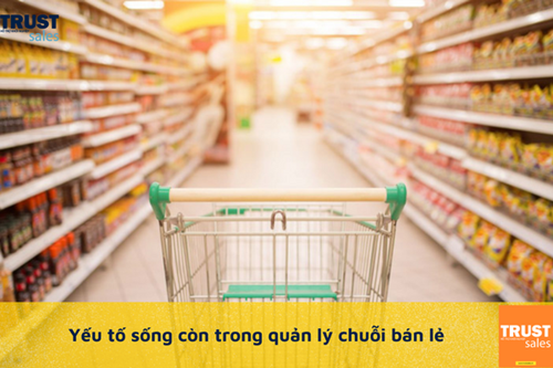 Yếu tố sống còn trong quản lý chuỗi bán lẻ bạn cần biết